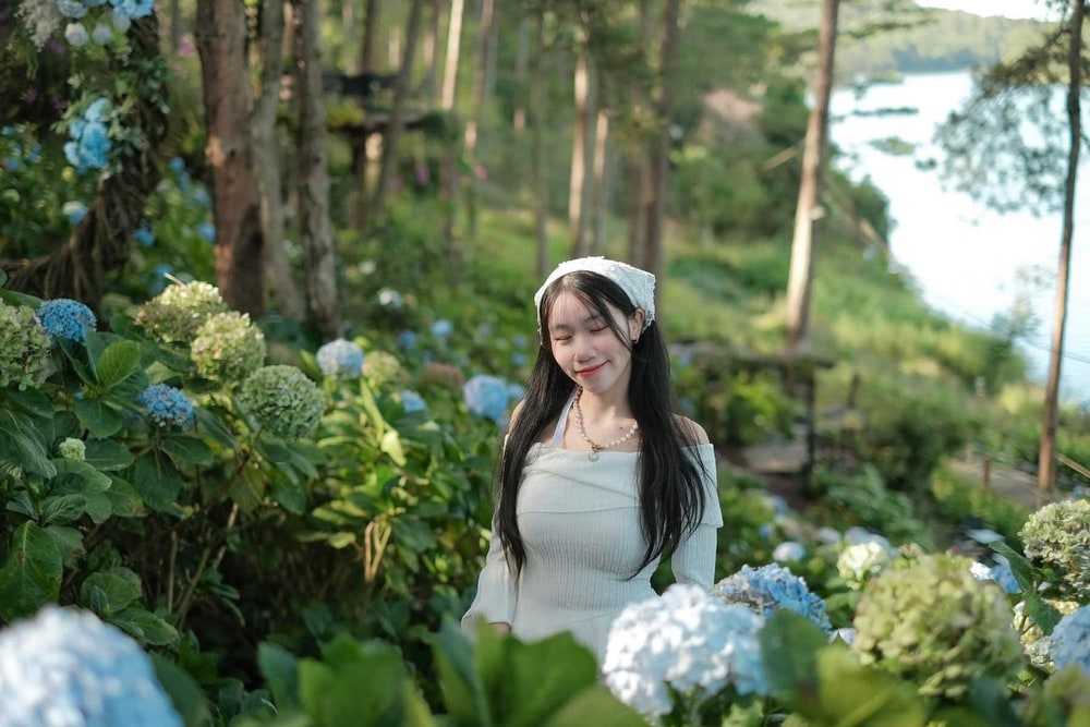 Khu vườn ngập tràn hoa cẩm tú cầu với màu xanh ngát, tôn lên nét dịu dàng của bạn